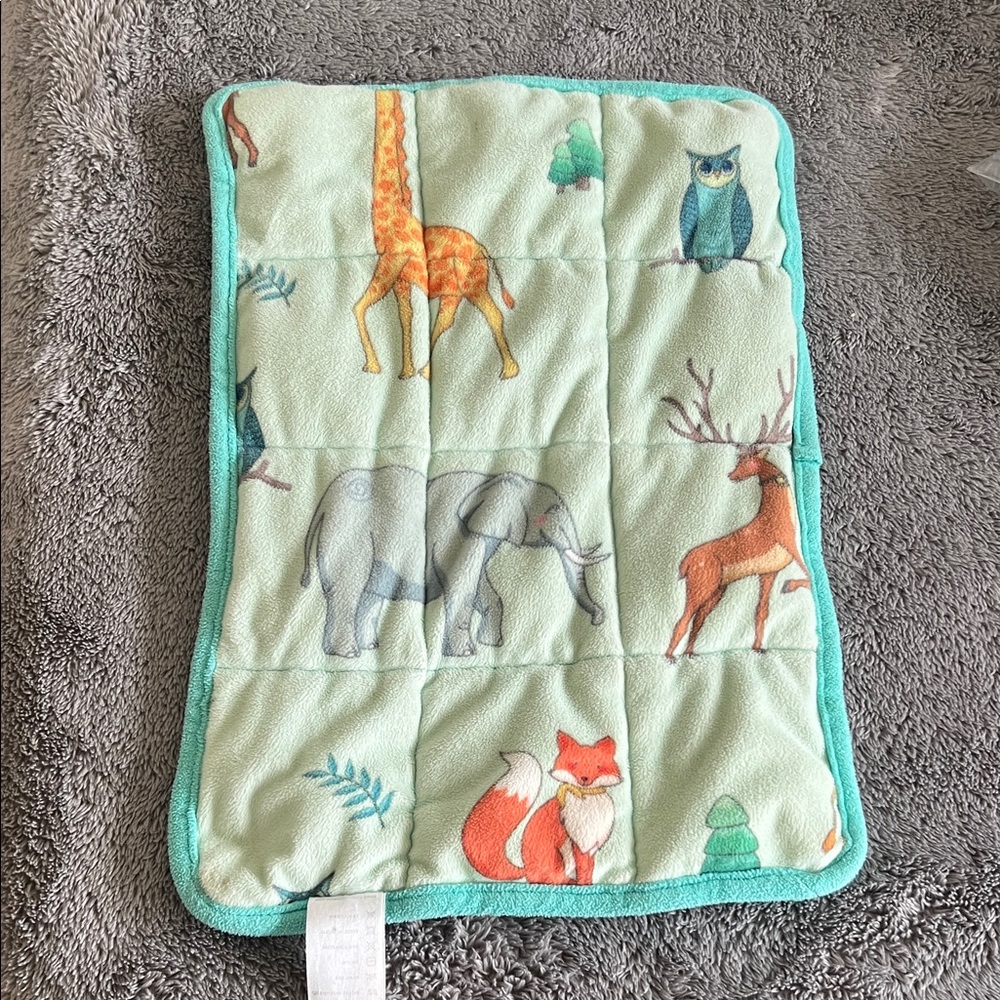 MAXTID Weighted Lap Blanket for Kids